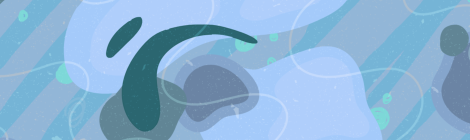 Adobe Animate & After Effects